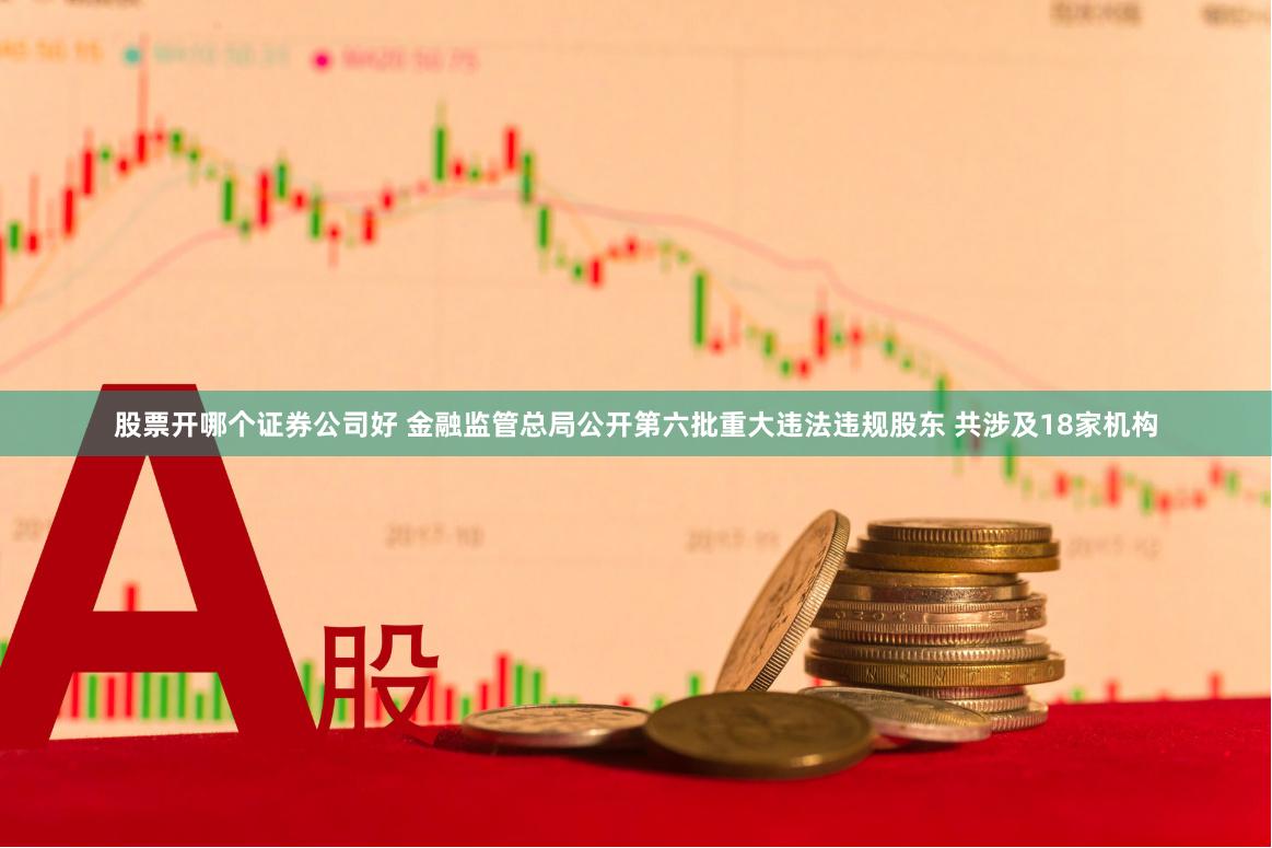 股票开哪个证券公司好 金融监管总局公开第六批重大违法违规股东 共涉及18家机构