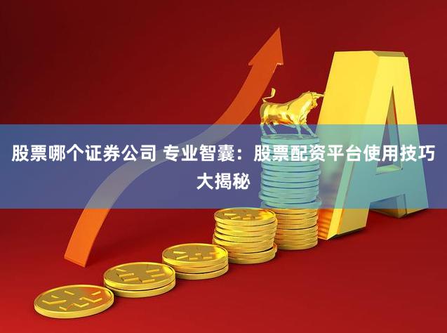 股票哪个证券公司 专业智囊：股票配资平台使用技巧大揭秘