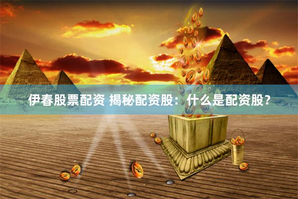 伊春股票配资 揭秘配资股：什么是配资股？